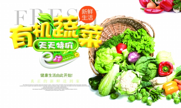 有机蔬菜促销海报PS