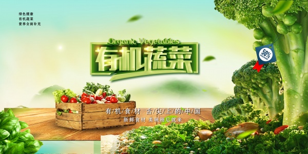 有机蔬菜广告海报设计