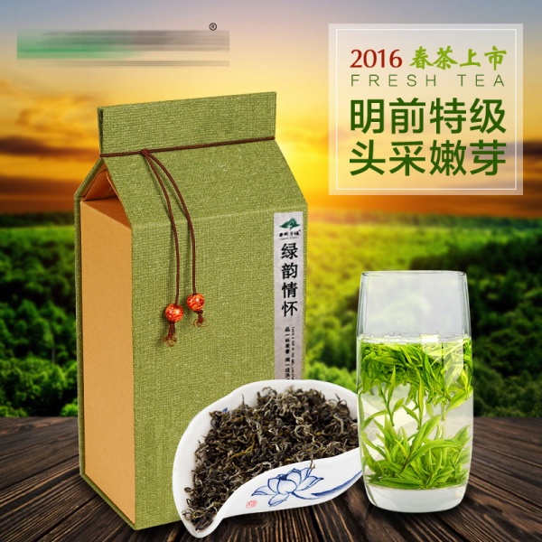 2016春茶上市广告海报