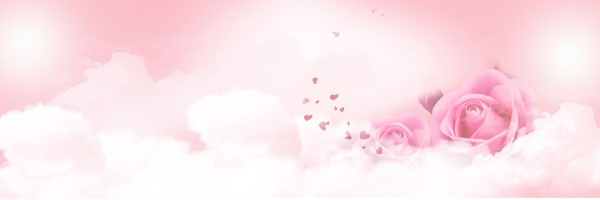 情人节粉色玫瑰花背景
