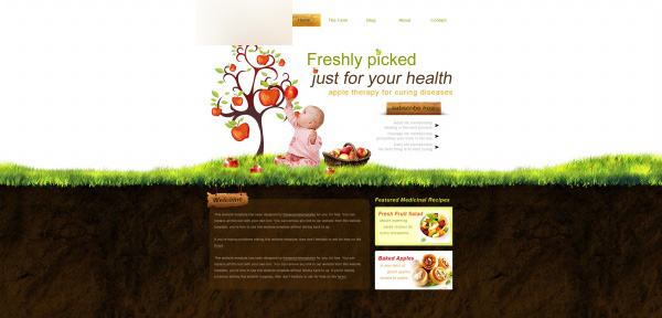 健康饮食网页模板设计PSD