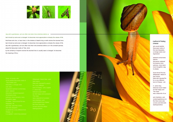 生物科学画册PSD设计素材
