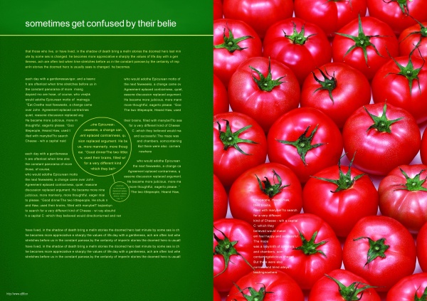 水果蔬菜画册PSD设计模板